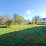 kuncice00016