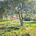 kuncice00019